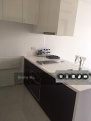 Palm Isles (D17), Condominium #604003251